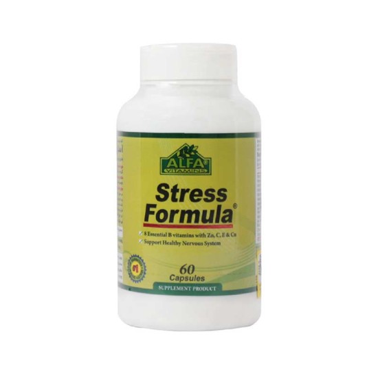 کپسول استرس فرمولا آلفا ویتامینز |۶۰ عدد| سلامت سیستم عصبی بدن